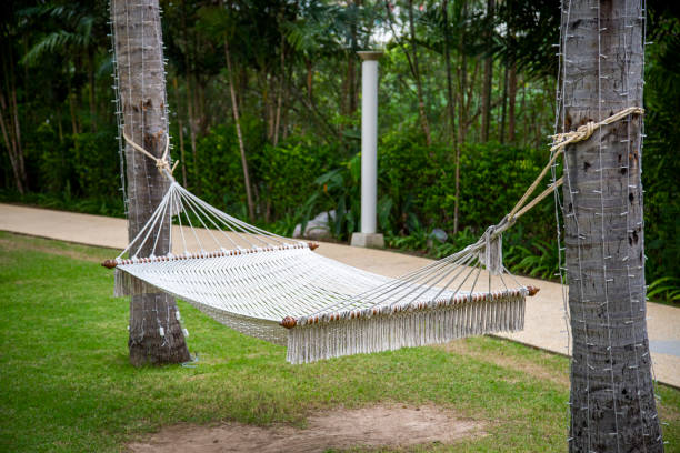 istock Hammock in the garden 1158230492