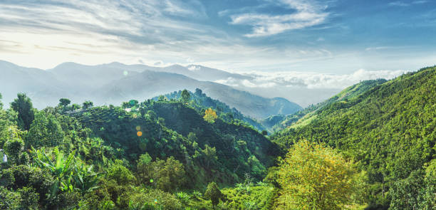 Blue Mountains in Jamaica stock photo
