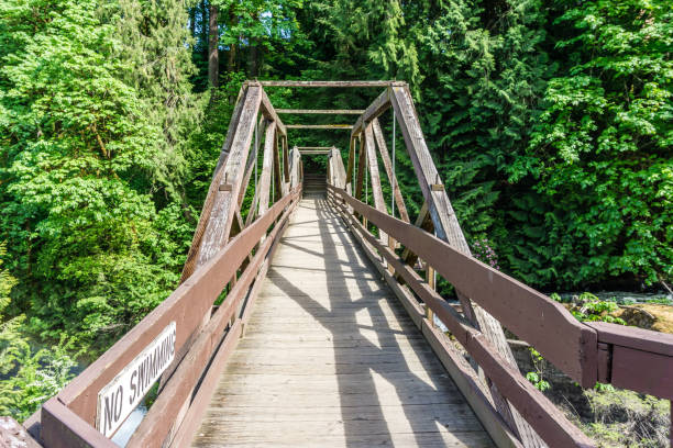 istock Wooden River Walking Bridge 2 1158234045