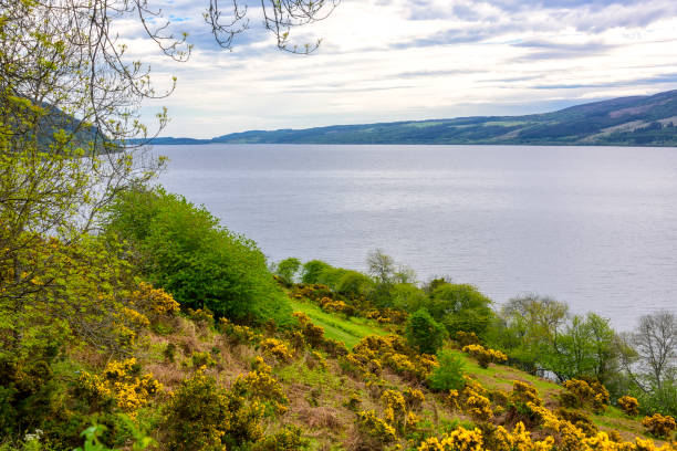 istock Loch Ness River in Scotland 1158234206