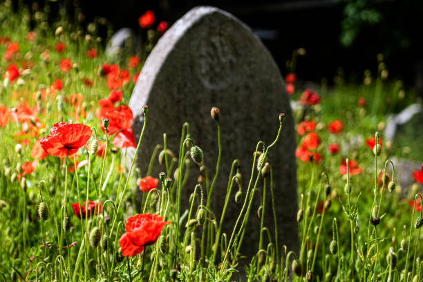 istock Flowers and tombstone 1158239218