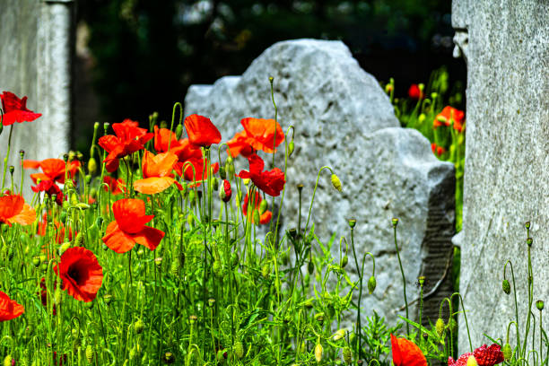 istock Flowers and tombstone 1158239370