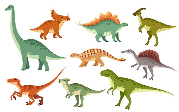 ilustraciones, imágenes clip art, dibujos animados e iconos de stock de juego de dinosaurios de dibujos animados. colección de icono de dinosaurios lindos. depredadores y herbívoros de colores. ilustración vectorial plana aislada sobre fondo blanco - dinosaurio