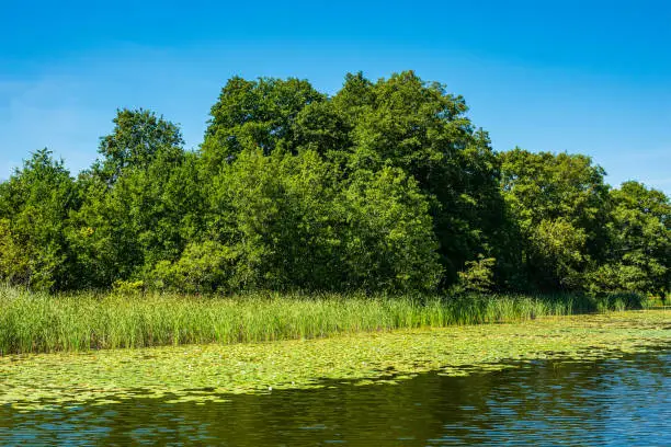 Landscape on a lake in Templin, Germany.