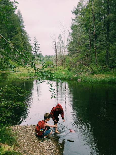 istock Two Boys Exploring a Woodland Pond Together 1158245895