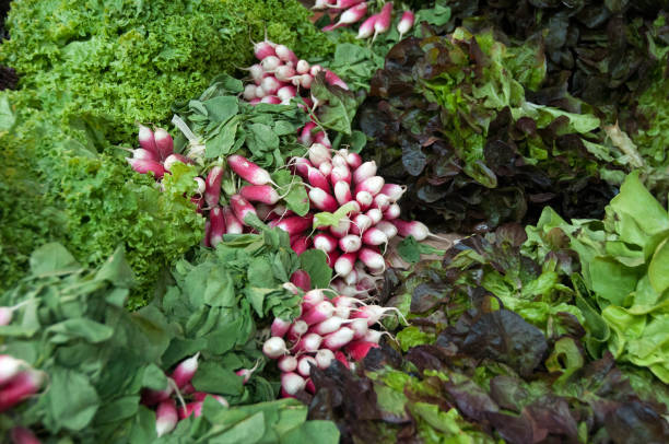 istock French Radishes & Cabbage on Market Stall 1158246368