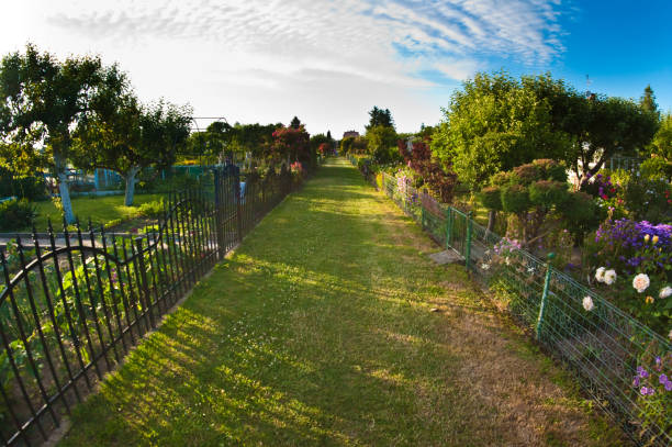 Communal garden in Poland, wide angle fish eye view.