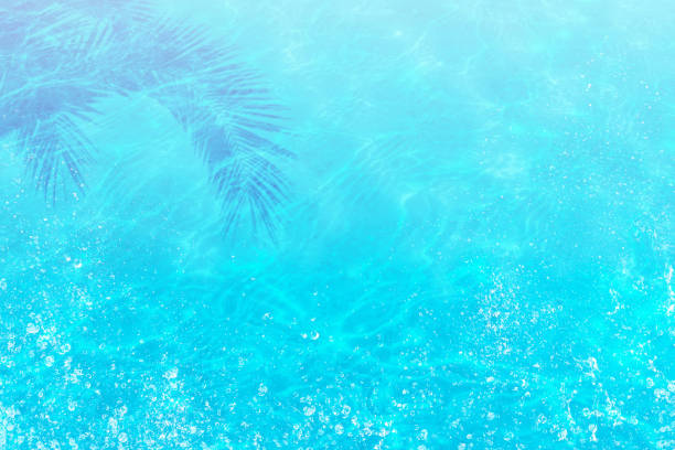 ombre de feuille de palmier au-dessus de la surface d'eau - eau dormante photos et images de collection