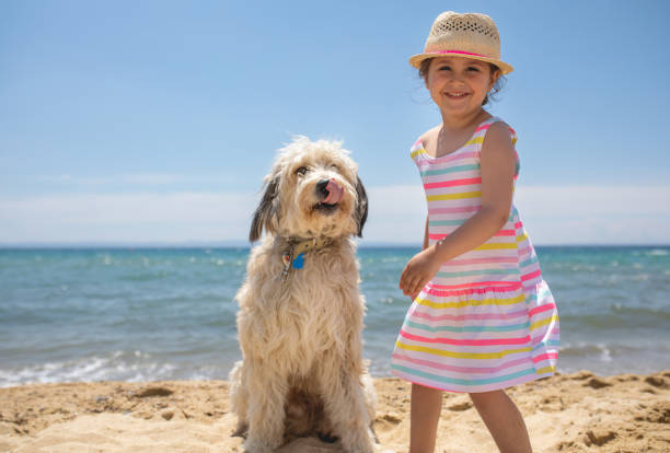 istock Cute girl and her big dog 1158247256