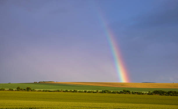 istock rainbow over a beautiful countryside landscape 1158247298