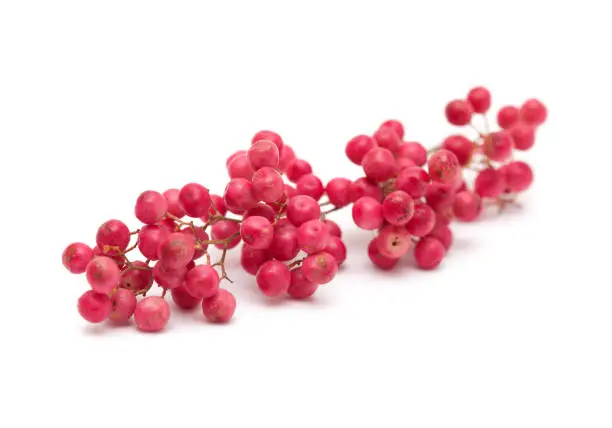cluster of pink peppercorns, fruit of Peruvian pepper tree Schinus molle isolated on white