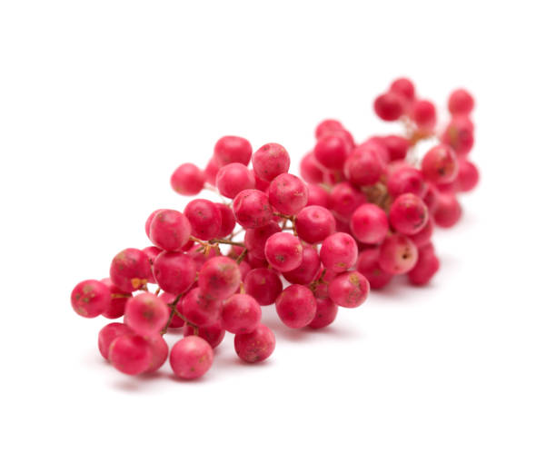 cluster of pink peppercorns, fruit of peruvian pepper tree - pink pepper imagens e fotografias de stock