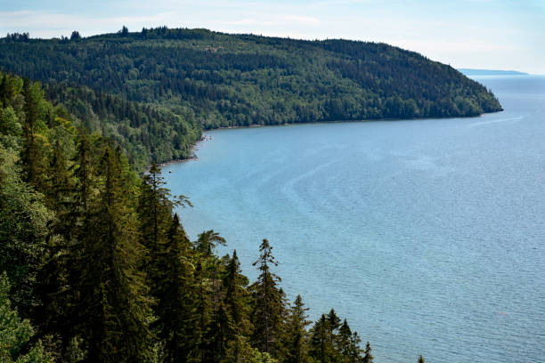 istock Omberg at the lake Vattern 1158248928