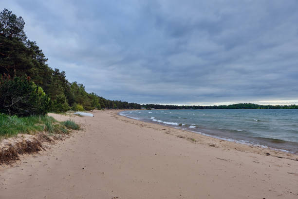 istock dark clouds at the beach and forest behind the beach 1158253087
