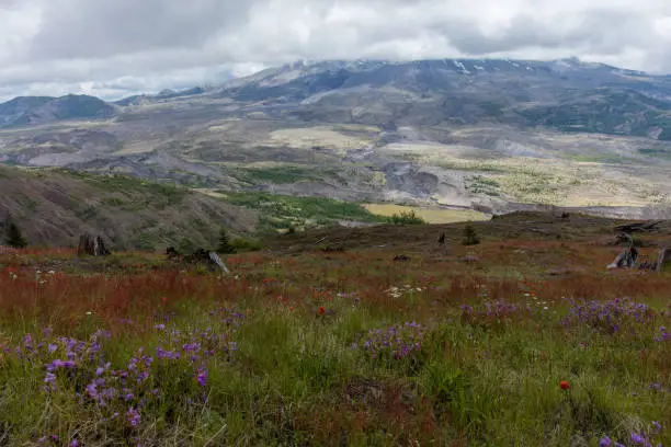 Mt St.Helens