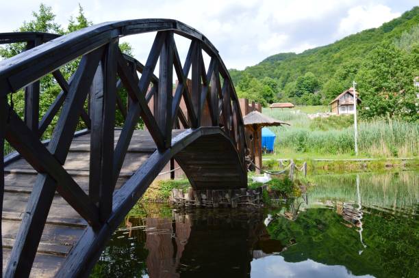 istock a small wooden bridge on the lake 1158258637
