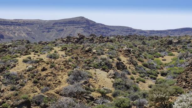 istock Tenerife Island 1158259589