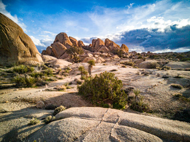 istock view at sequoia tree national park in sunset 1158261328