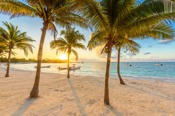 залив акумал - карибский белый пляж в ривьере майя, побережье юкатана и кинтана-роо, мексика - mexico стоковые фото и изображения