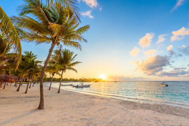 bahía akumal - playa blanca del caribe en riviera maya, costa de yucatán y quintana roo, méxico - mayan riviera fotografías e imágenes de stock