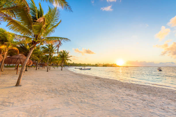 bahía akumal - playa blanca del caribe en riviera maya, costa de yucatán y quintana roo, méxico - mayan riviera fotografías e imágenes de stock