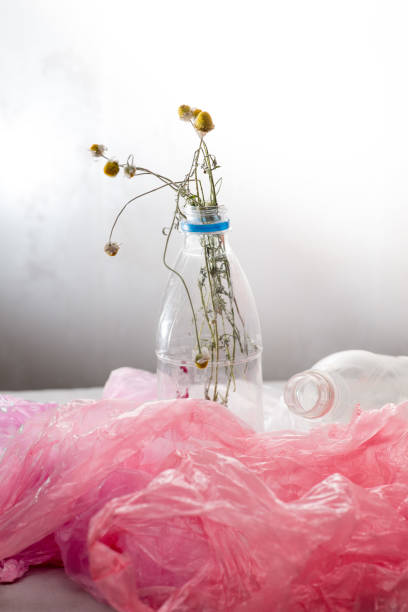 dead flowers in a plastic bottle among the packages - tailings container environment pollution imagens e fotografias de stock