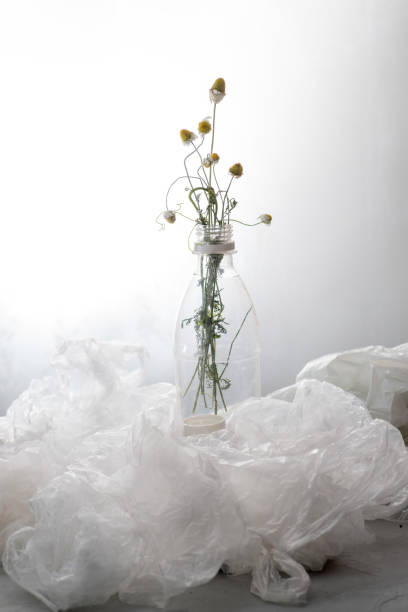 dead flowers in a plastic bottle among the packages - tailings container environment pollution imagens e fotografias de stock