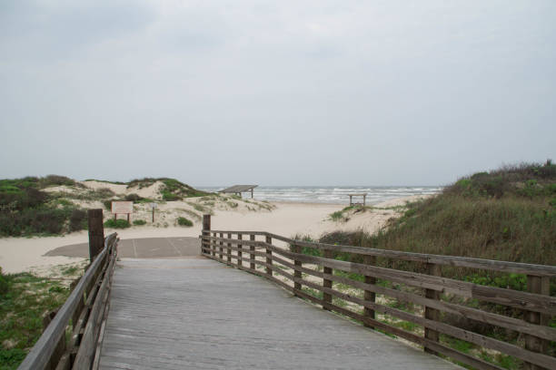 istock Padre Island National Seashore 1158266126