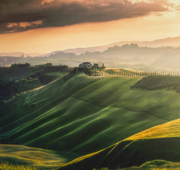 ヒノキの木に囲まれた緑の丘のトスカーナの夕日の風景イタリア、ヨーロッパ - siena province tuscany italy fog ストックフォトと画像