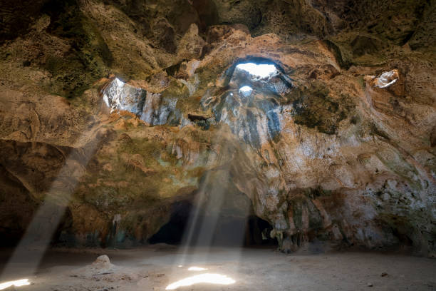 пещера куадирикири, национальный парк арикок, аруба - cave canyon rock eroded стоковые фото и изображения