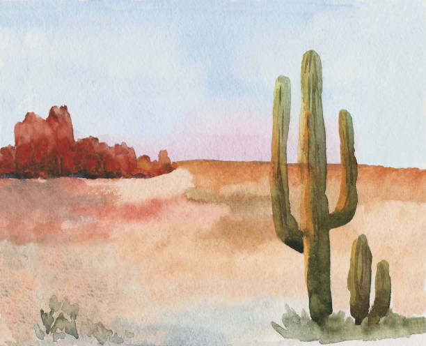 illustrazioni stock, clip art, cartoni animati e icone di tendenza di paesaggio di praterie americane con cactus. selvaggio west - panoramic wild west desert scenics