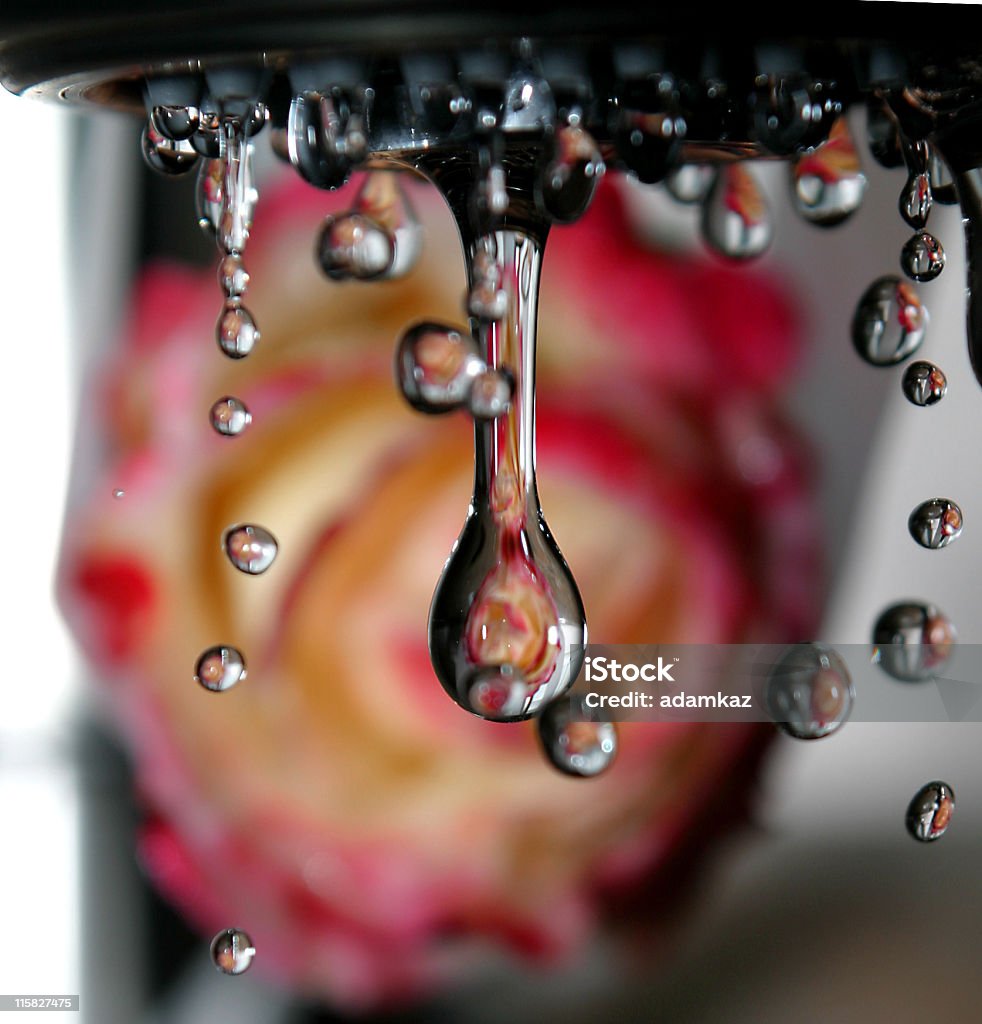 Raindrops en Rosas - Foto de stock de Amor - Sentimiento libre de derechos