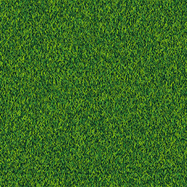 Grass seamless realistic texture. Green lawn, field or meadow vector background. Summer or spring nature illustration Grass seamless realistic texture. Green lawn, field or meadow vector background. Summer or spring nature illustration. grass stock illustrations