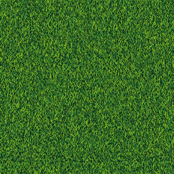 Vector illustration of Grass seamless realistic texture. Green lawn, field or meadow vector background. Summer or spring nature illustration