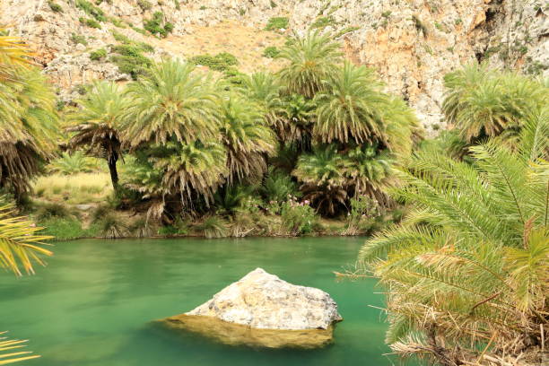 istock View around River and palm forest at Preveli, southern Crete , Greece 1158277091