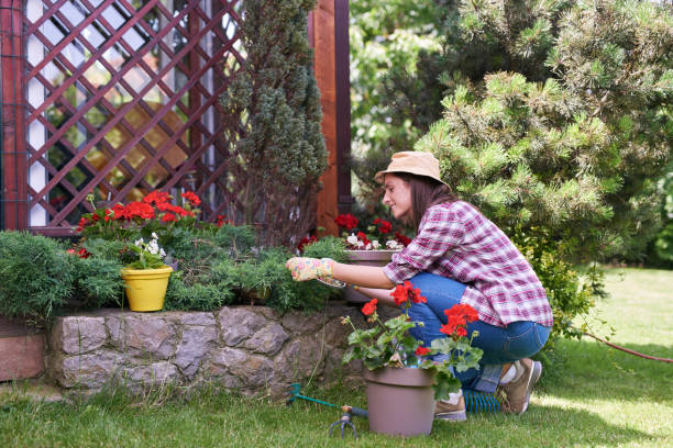 istock Woman pruning plants in her backyard. 1158278002