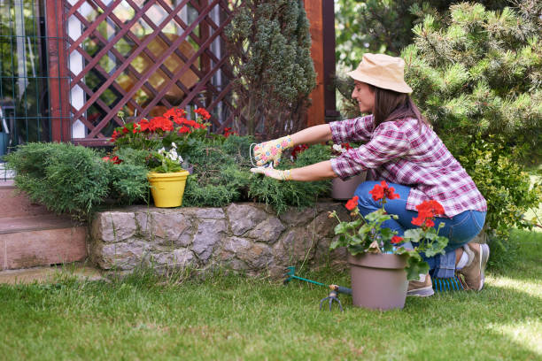 istock Woman pruning plants in her backyard. 1158278121