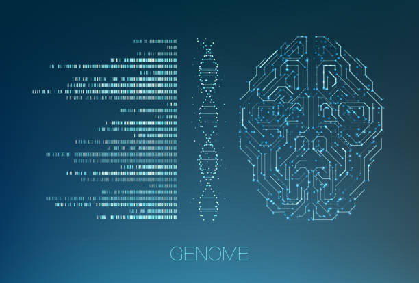 illustrations, cliparts, dessins animés et icônes de visualisation de données génomiques - adn illustrations