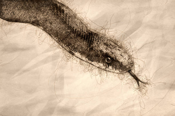 istock Sketch of Black Rat Snake With Forked Tongue 1158281004