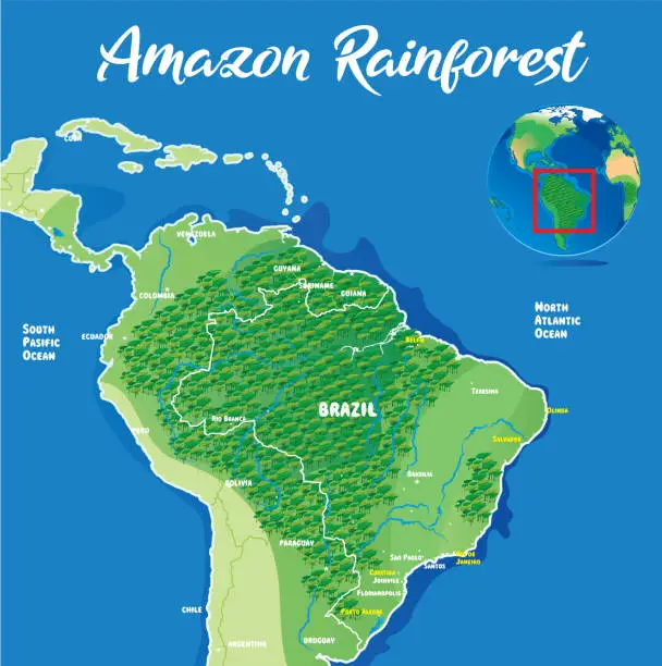 Vector illustration of Amazon Rainforest