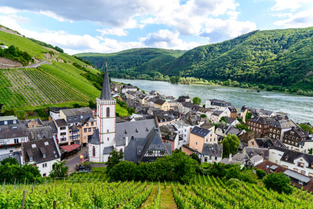 istock Assmanshausen, Hesse, Germany 1158284010