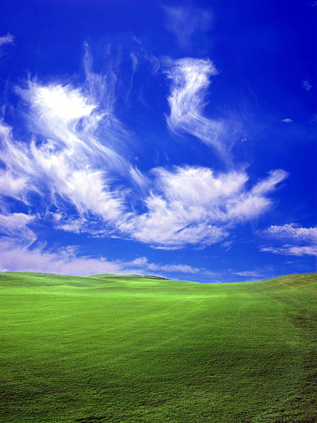 green field stock photo