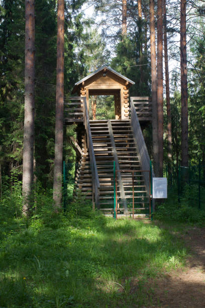 istock wooden house in the forest 1158284616