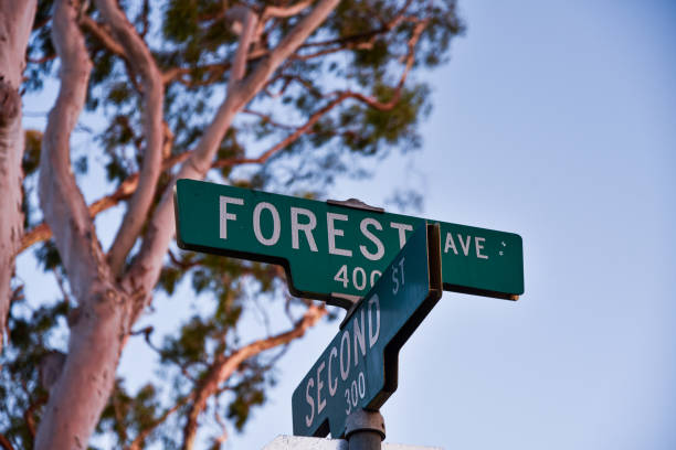 istock Street Sign 1158284851