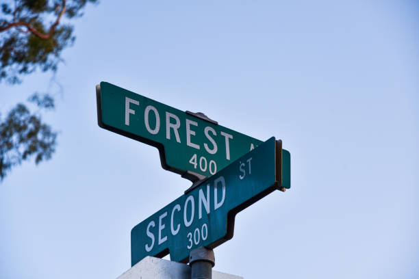 istock Street Sign 1158284874