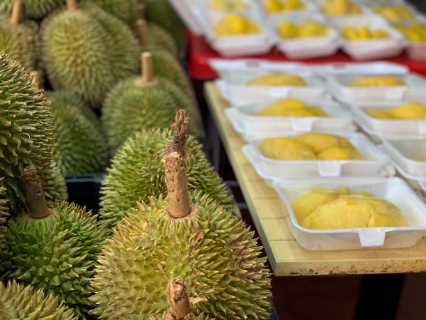 710+ Durian Stall Stock Photos, Pictures & Royalty-Free Images - iStock |  Teh tarik