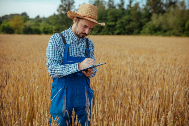istock Farmer standing in a golden wheat field 1158288824