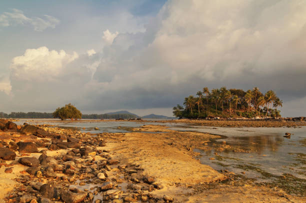 istock Tropical beach in sunset 1158289758