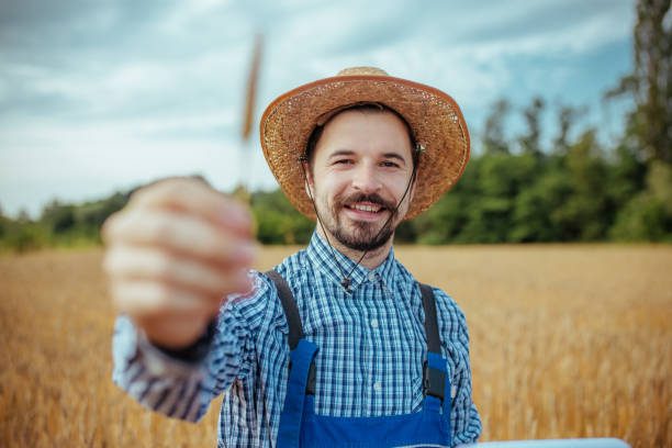istock Man standing in a golden wheat field 1158290060