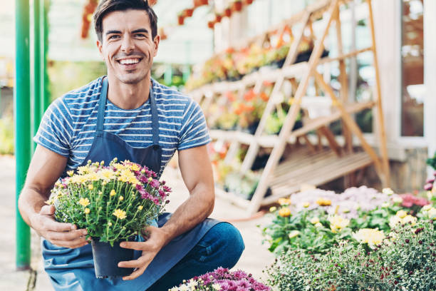 istock Cheerful gardener holding a chrysanthemum pot 1158291041